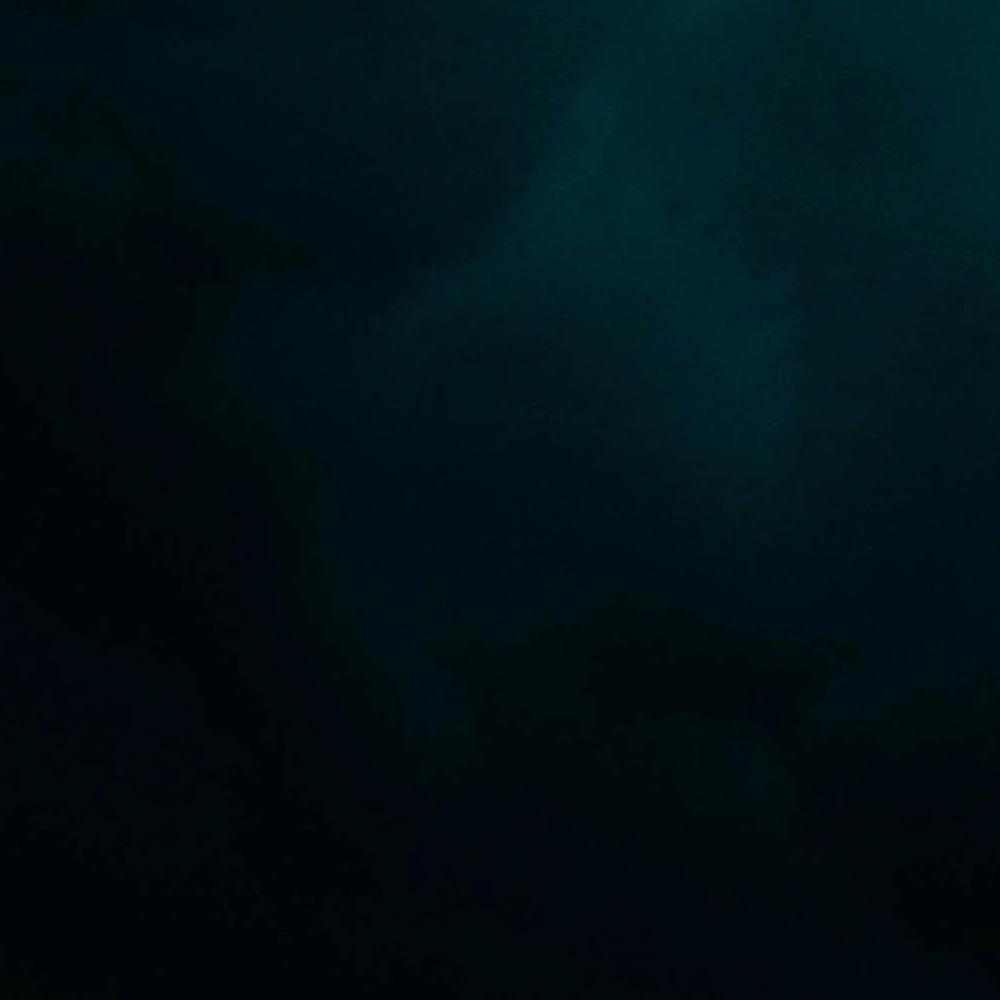 Are You Overpaying for Backup?