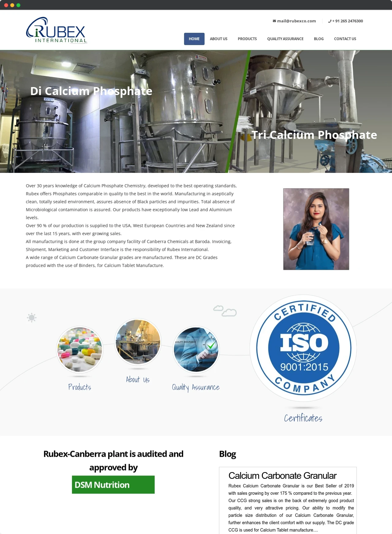 Rubex International Website